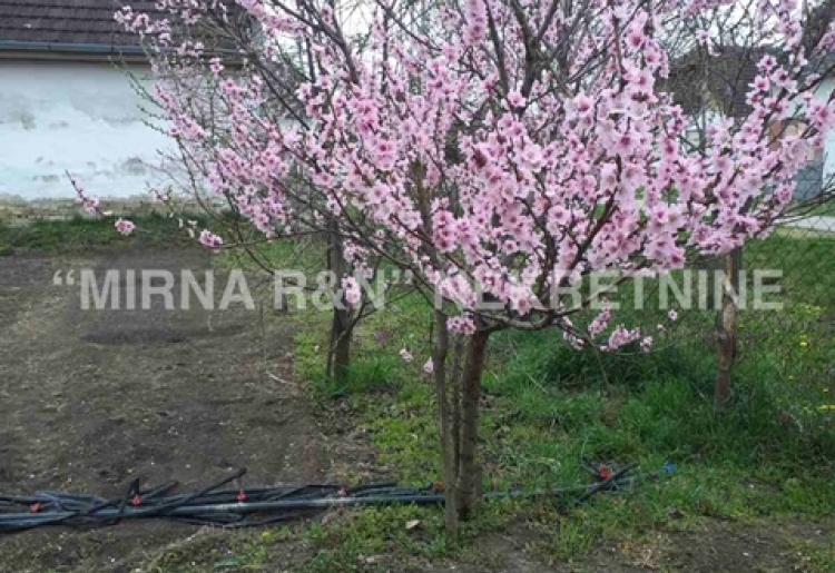 355. Na prodaju kuća u Kupusini