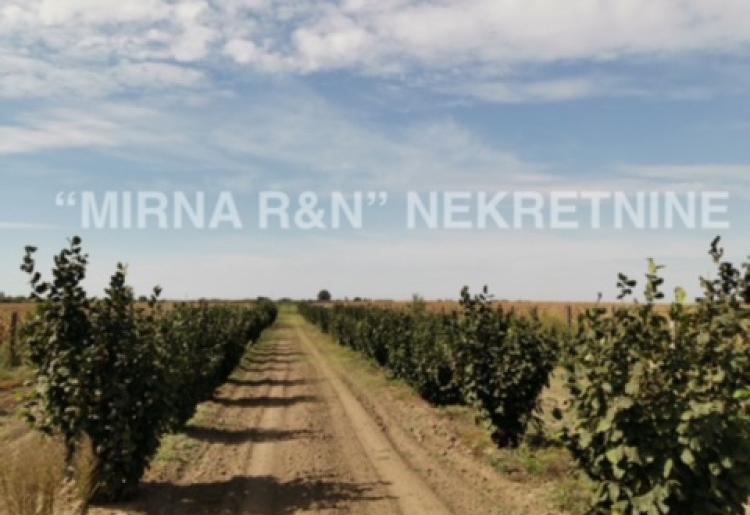 474. Na prodaju PLAC SA LEŠNICIMA u Kljajićevu