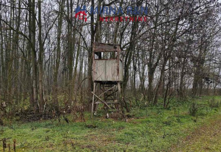 717. *Na prodaju plac (šuma) u Bezdanu