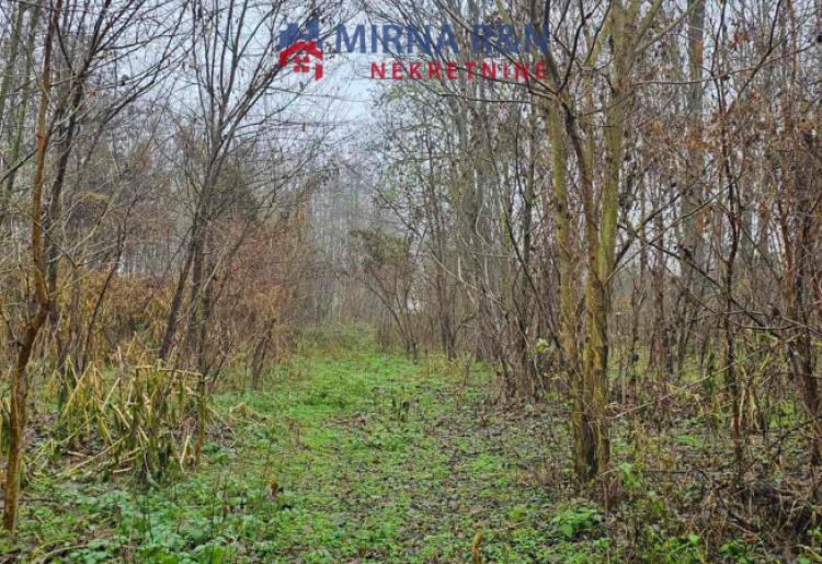 717. *Na prodaju plac (šuma) u Bezdanu