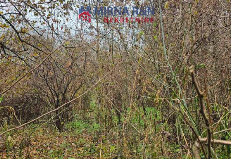 717. *Na prodaju plac (šuma) u Bezdanu