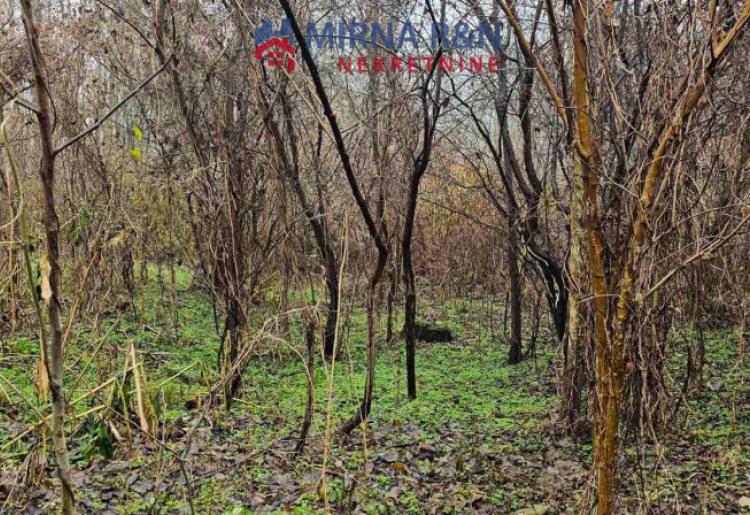 717. *Na prodaju plac (šuma) u Bezdanu
