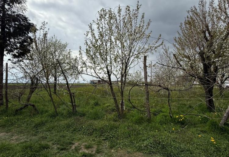 777. Na prodaju kuća-salaš