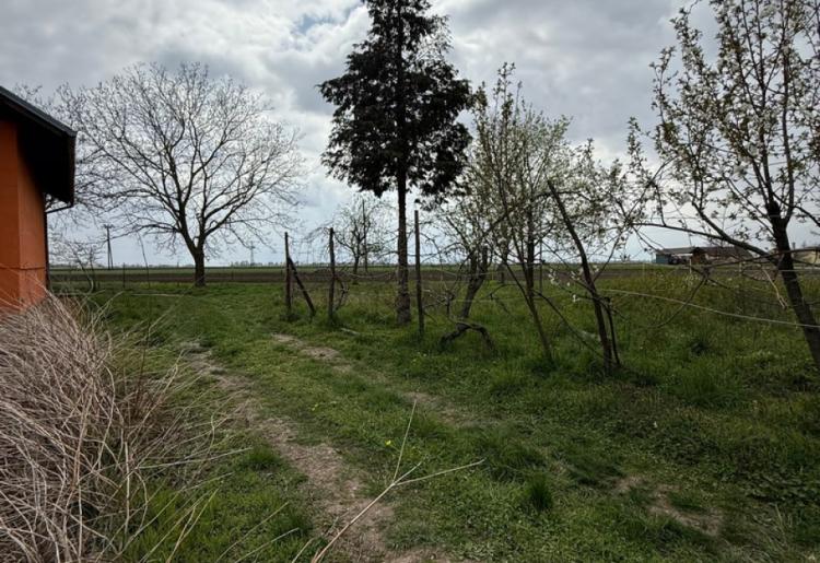 777. Na prodaju kuća-salaš
