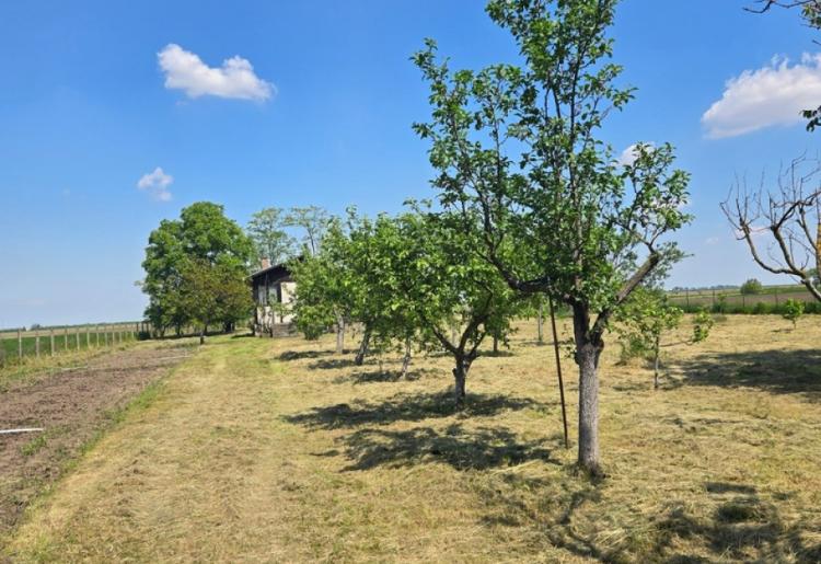 789. Na prodaju vikend kuća 