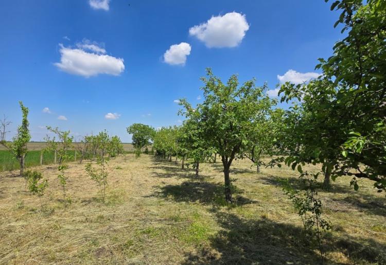 789. Na prodaju vikend kuća 