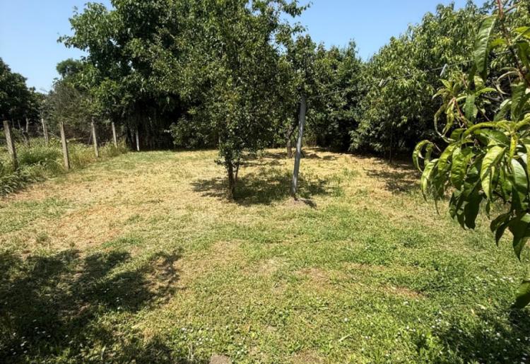 821. Na prodaju kuća 