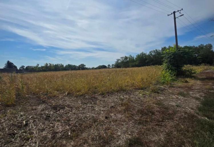 879. Na prodaju salaš 