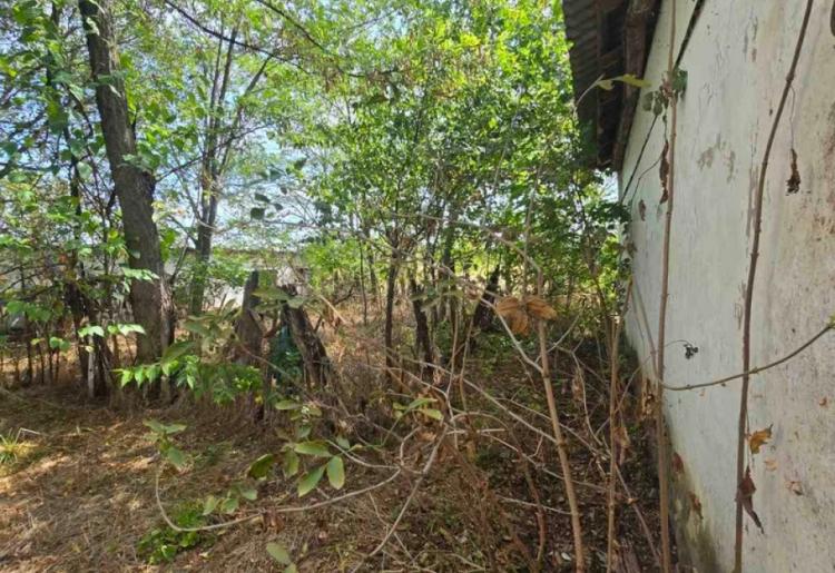 879. Na prodaju salaš 