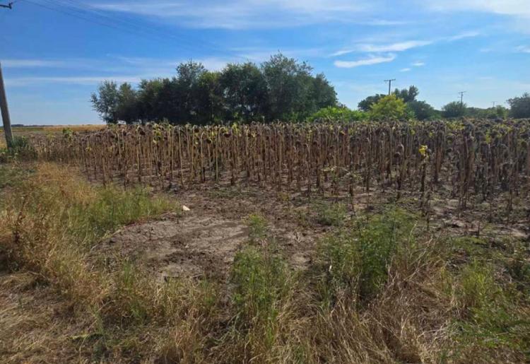 879. Na prodaju salaš 