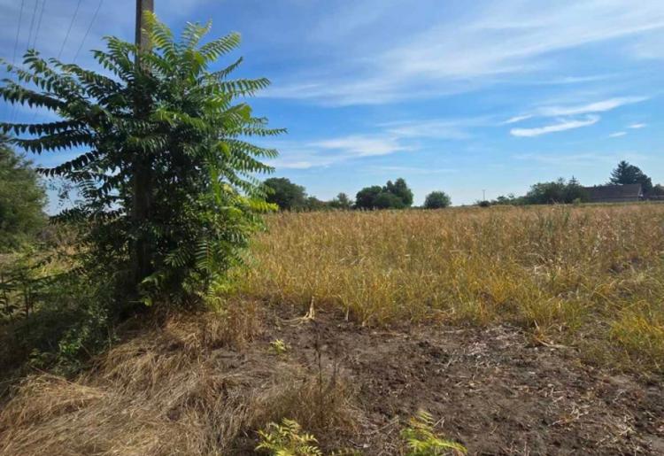 879. Na prodaju salaš 