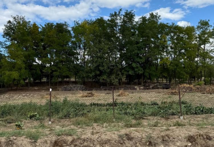 PLJOPRIVREDNO ZEMLJIŠTE, KLJAJIĆEVO, šifra oglasa: 945.