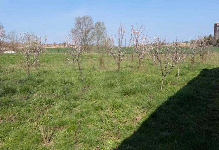 KUĆA,  GAKOVO, šifra oglasa: 957. 
