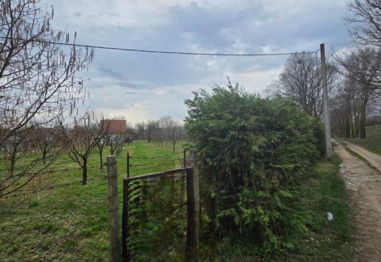 961. SALAŠ, BILIĆ