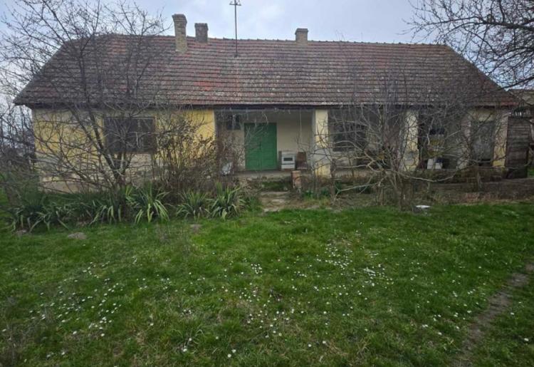 961. SALAŠ, BILIĆ