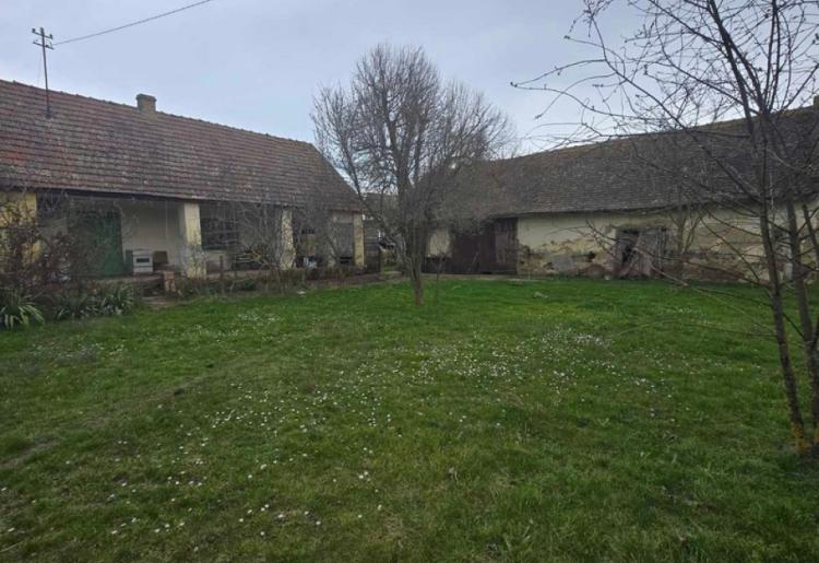961. SALAŠ, BILIĆ