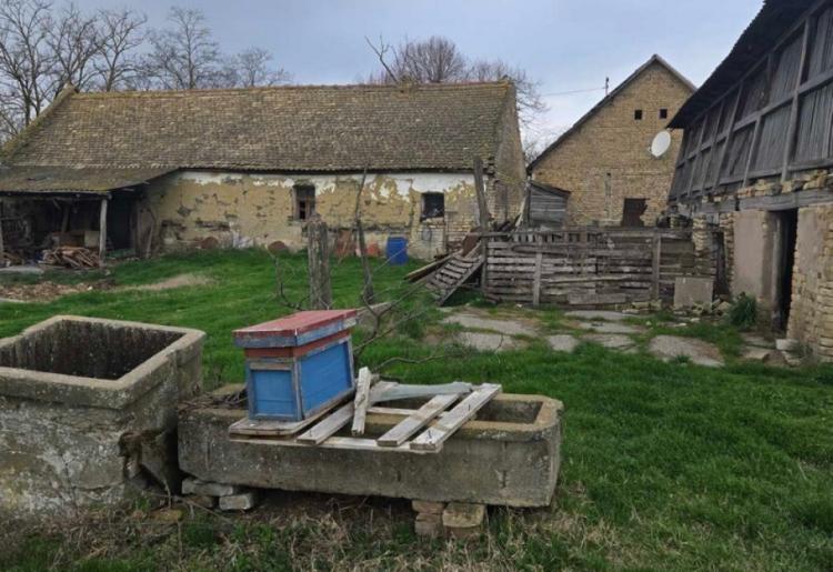 961. SALAŠ, BILIĆ