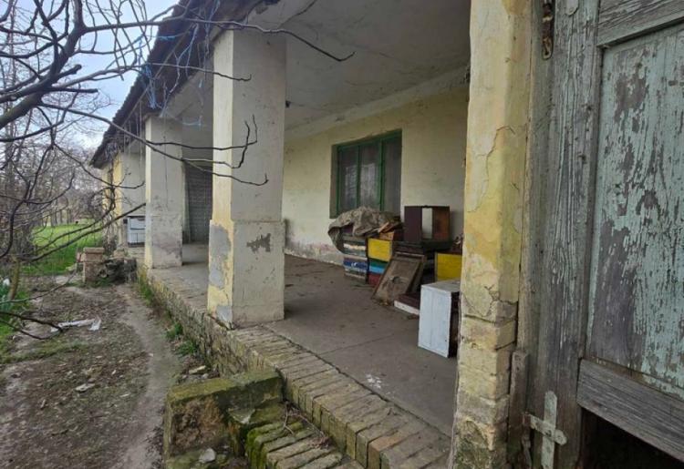 961. SALAŠ, BILIĆ
