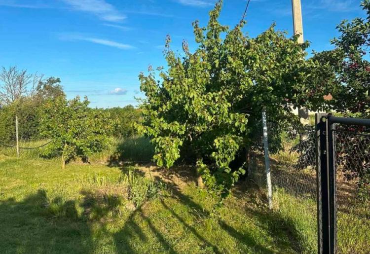 KUĆA, SOMBOR, šifra oglasa: 989.
