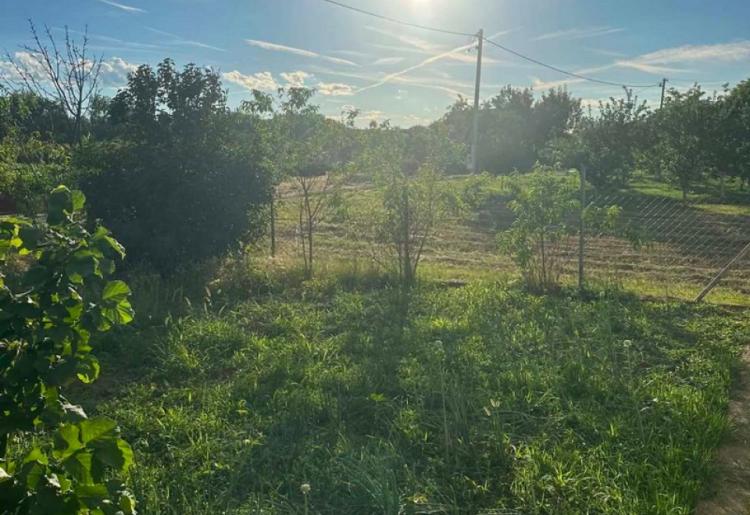 KUĆA, SOMBOR, šifra oglasa: 989.