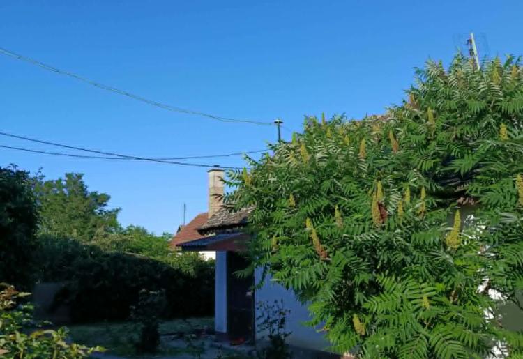 KUĆA, STAPAR, šifr oglasa: 980. 
