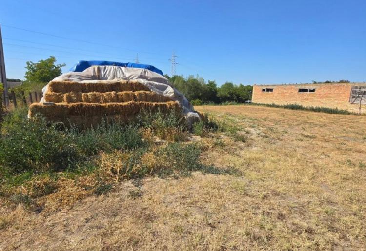 KUĆA, APATIN, šifra oglasa: 1020.