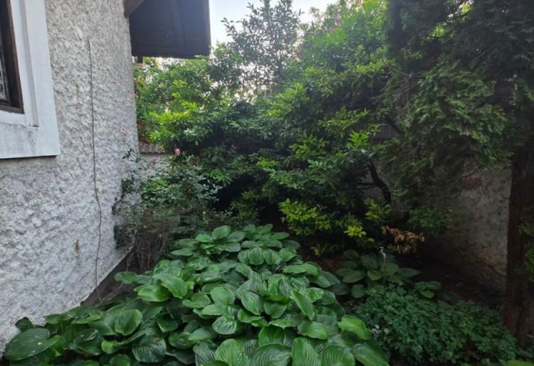 KUĆA, SOMBOR, šifra oglasa: 1022.