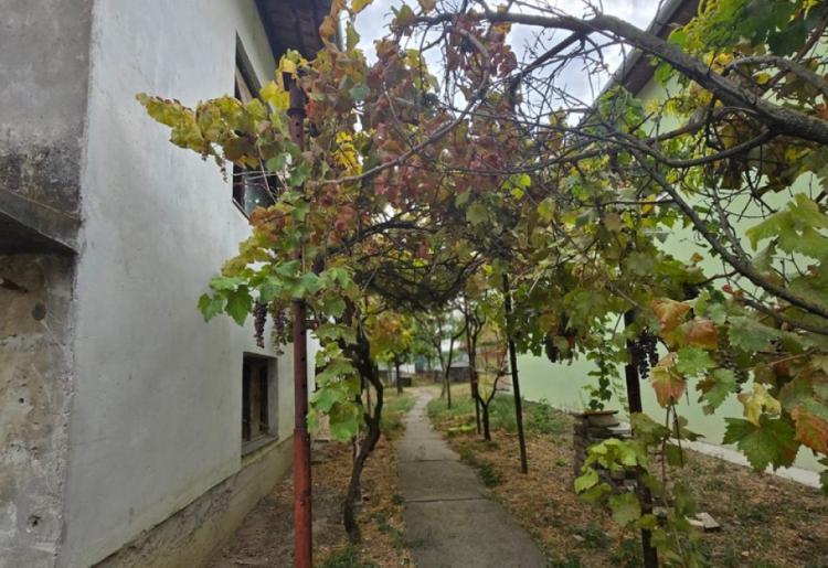 KUĆA, APATIN, šifra oglasa: 1034.